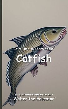 It's Time to Learn about Catfish