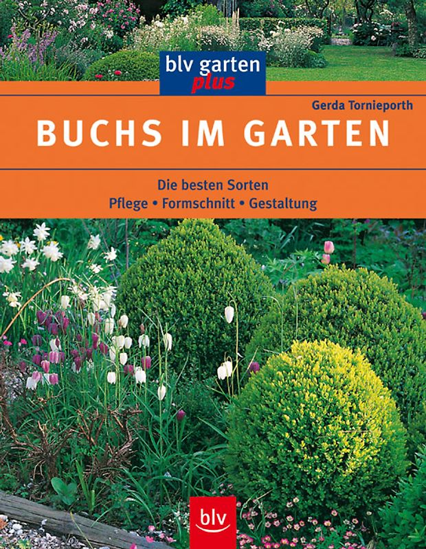 Buchs im Garten
