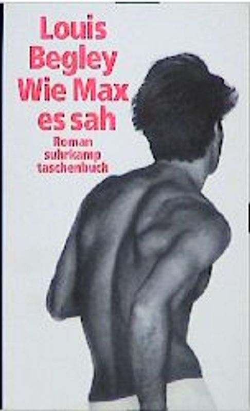 Wie Max es sah. Roman