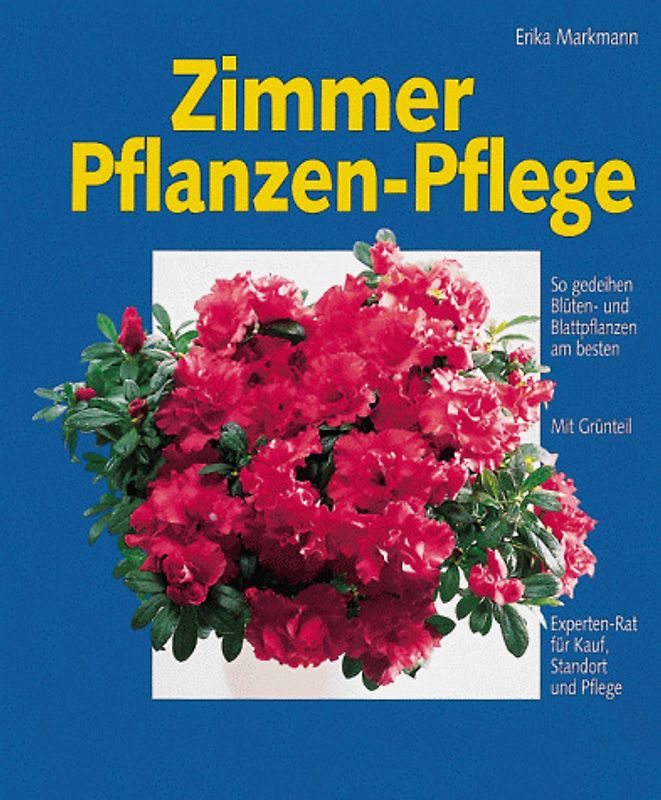 Zimmerpflanzen-Pflege. So gedeihen Blüten- und Blattpflanzen am besten. Mit Grünteil. Experten-Rat für Kauf, Standort und Pflege