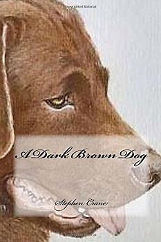 A Dark Brown Dog