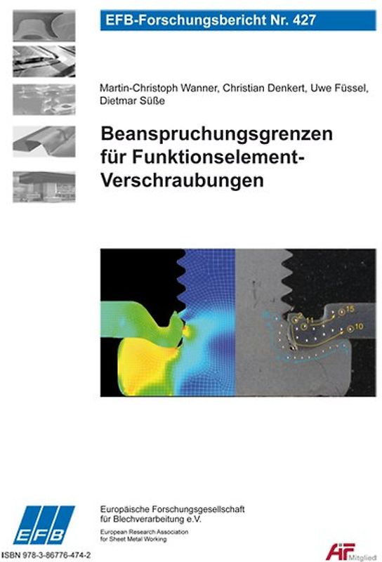 Beanspruchungsgrenzen für Funktionselement-Verschraubungen