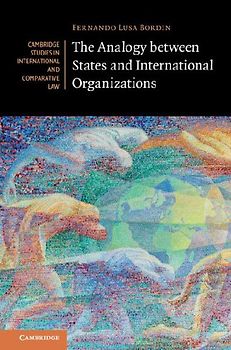 The Analogy between States and International Organizations
