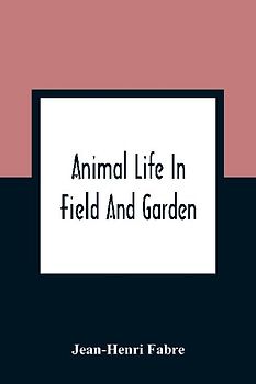 Animal Life In Field And Garden