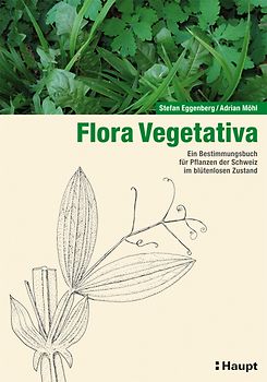 Flora Vegetativa