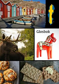 Glosbok: Vokabelheft schwedisch A4 3 Spalten