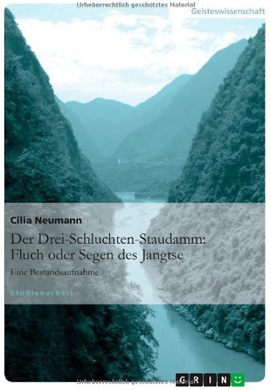 Der Drei-Schluchten-Staudamm: Fluch oder Segen des Jangtse. Eine Bestandsaufnahme