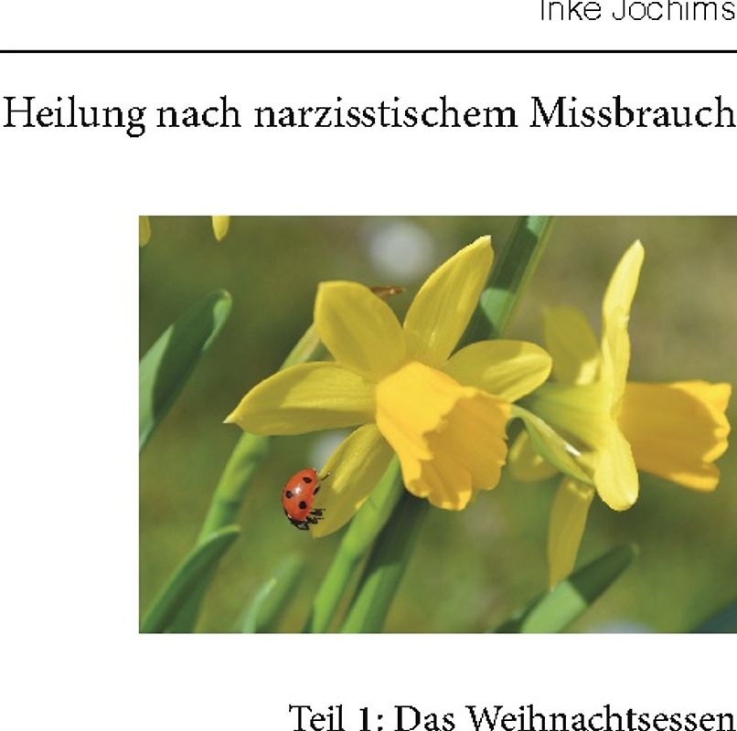 Heilung von narzisstischem Missbrauch