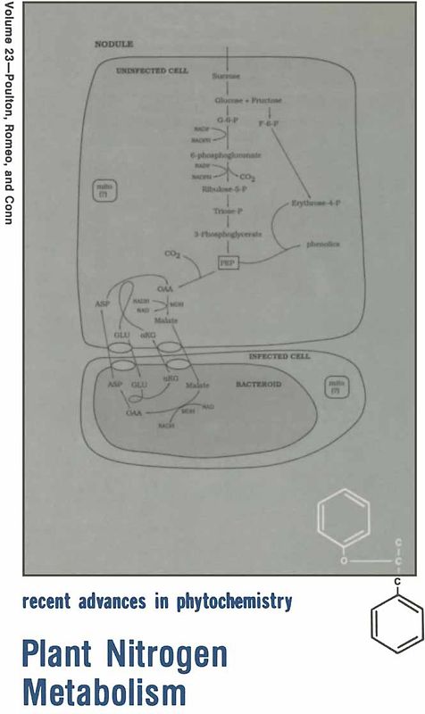 Plant Nitrogen Metabolism