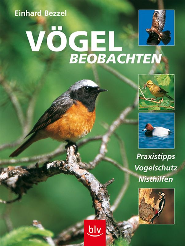 Vögel beobachten