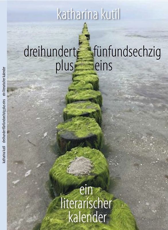 dreihundertfünfundsechzig plus eins