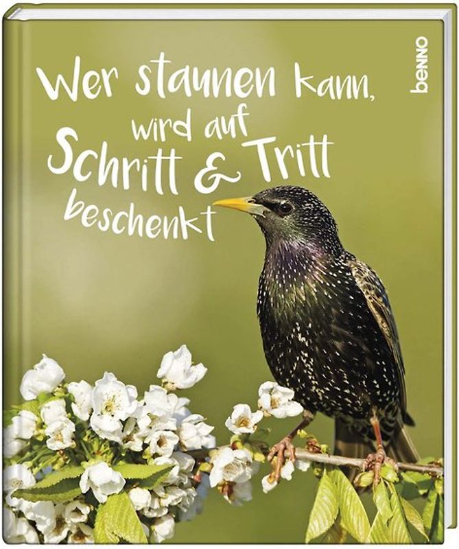 Geschenkbuch »Wer staunen kann, wird auf Schritt & Tritt beschenkt«