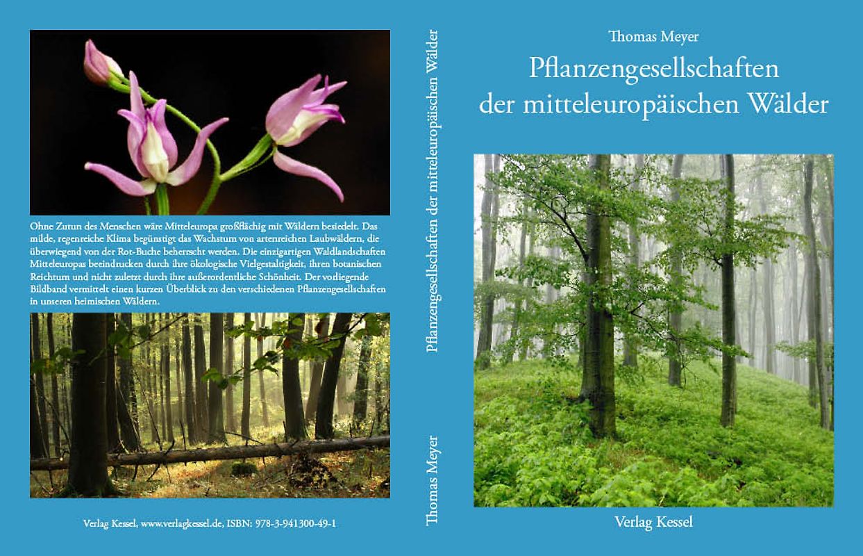 Pflanzengesellschaften der mitteleuropäischen Wälder