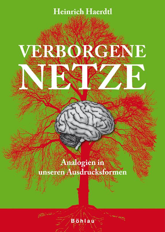 Verborgene Netze