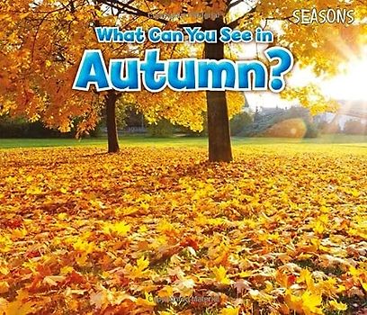 What Can You See In Autumn? (Seasons)