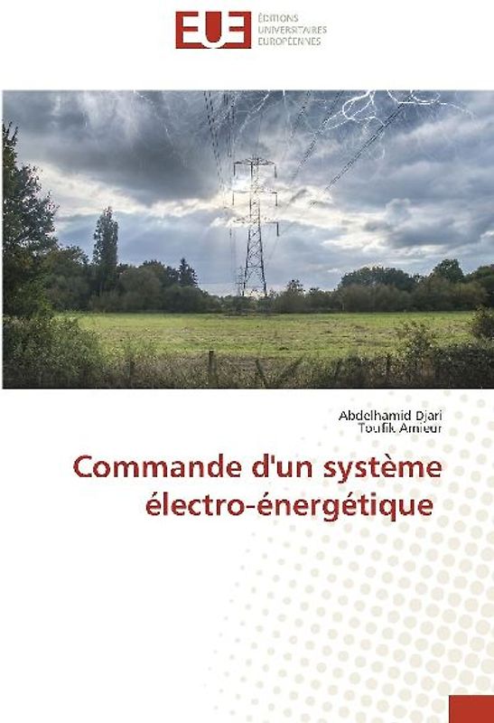 Commande d'un système électro-énergétique