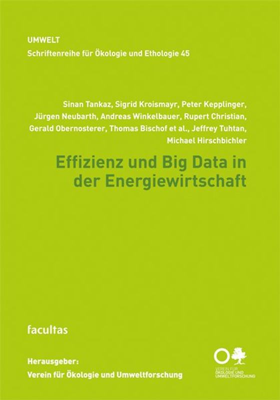 Effizienz und Big Data in der Energiewirtschaft