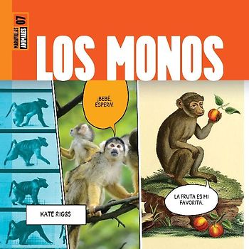 Los Monos