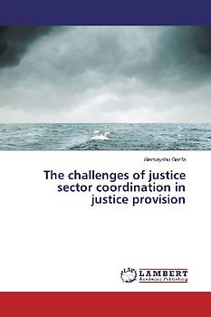 The challenges of justice sector coordination in justice provision