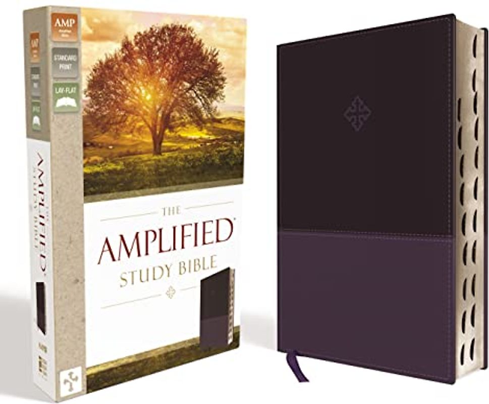 The Amplified Study Bible, Leathersoft, Purple, Thumb Indexed