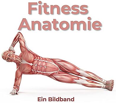 Fitness Anatomie