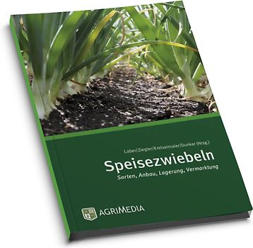 Speisezwiebeln
