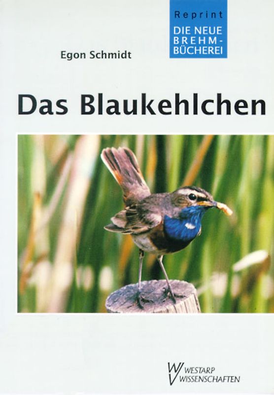 Das Blaukehlchen