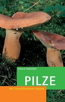 Pilze