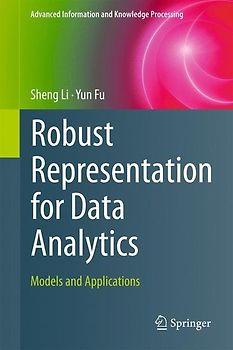 Robust Representation for Data Analytics