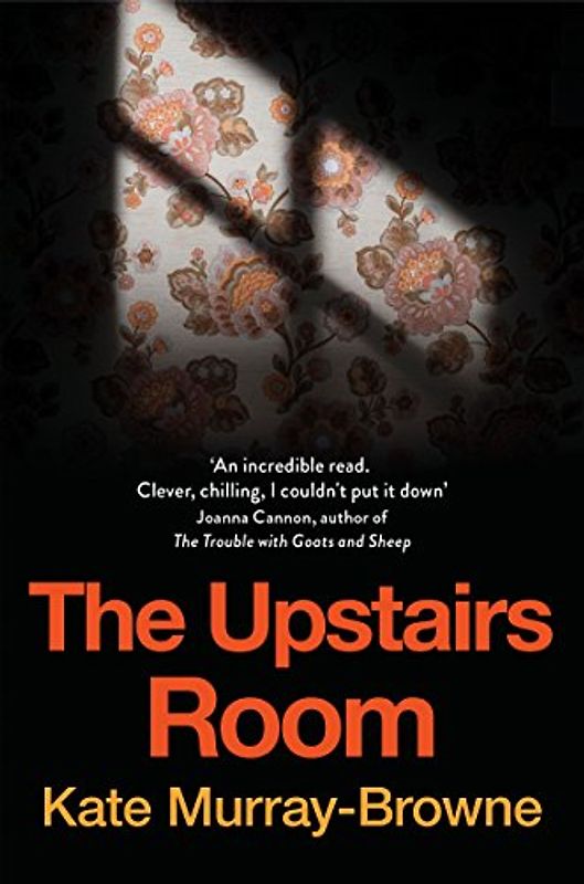 The Upstairs Room (Aziza's Secret Fairy Door, 205)