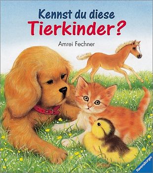 Kennst du diese Tierkinder?