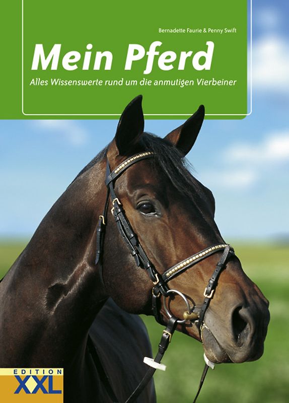 Mein Pferd
