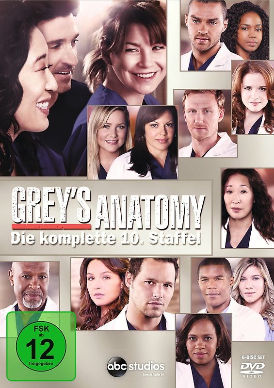 Grey's Anatomy - Staffel 10 [6 DVDs] DVD
