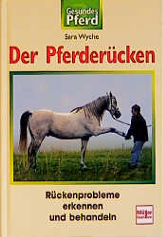 Der Pferderücken