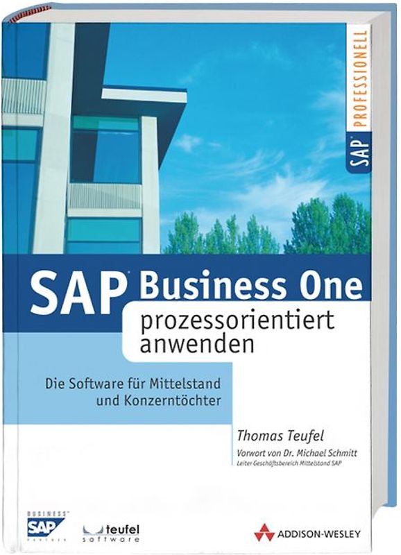 SAP Business One prozessorientiert anwenden