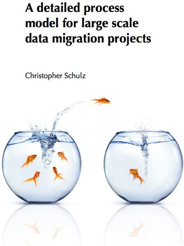 A detailed process model for large scale data migration projects