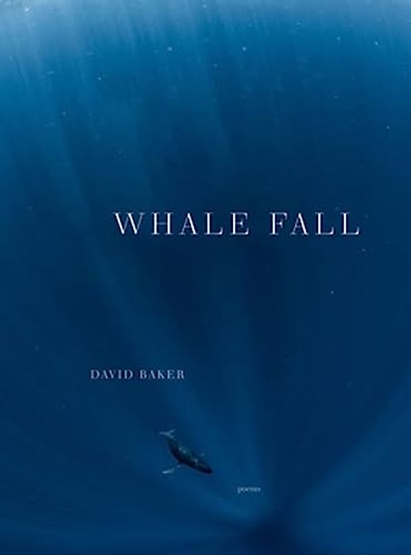Whale Fall