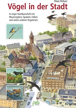 Vögel in der Stadt