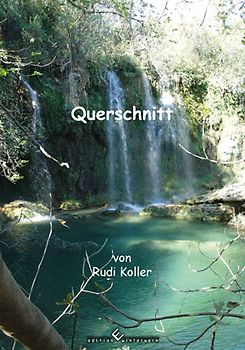 Querschnitt