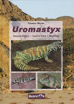 Uromastyx