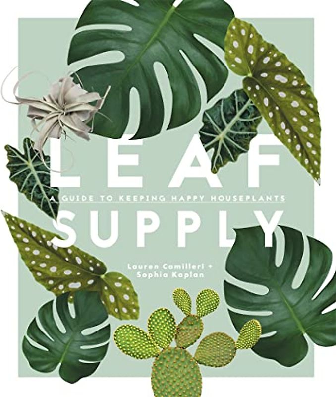 Leaf Supply: A Guide to Keeping Happy House Plants