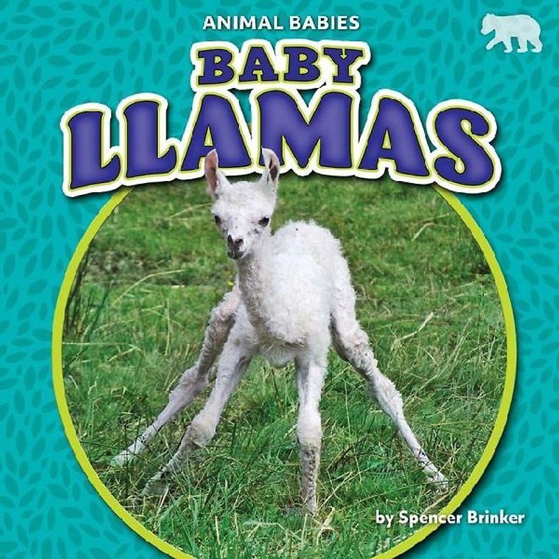 Baby Llamas