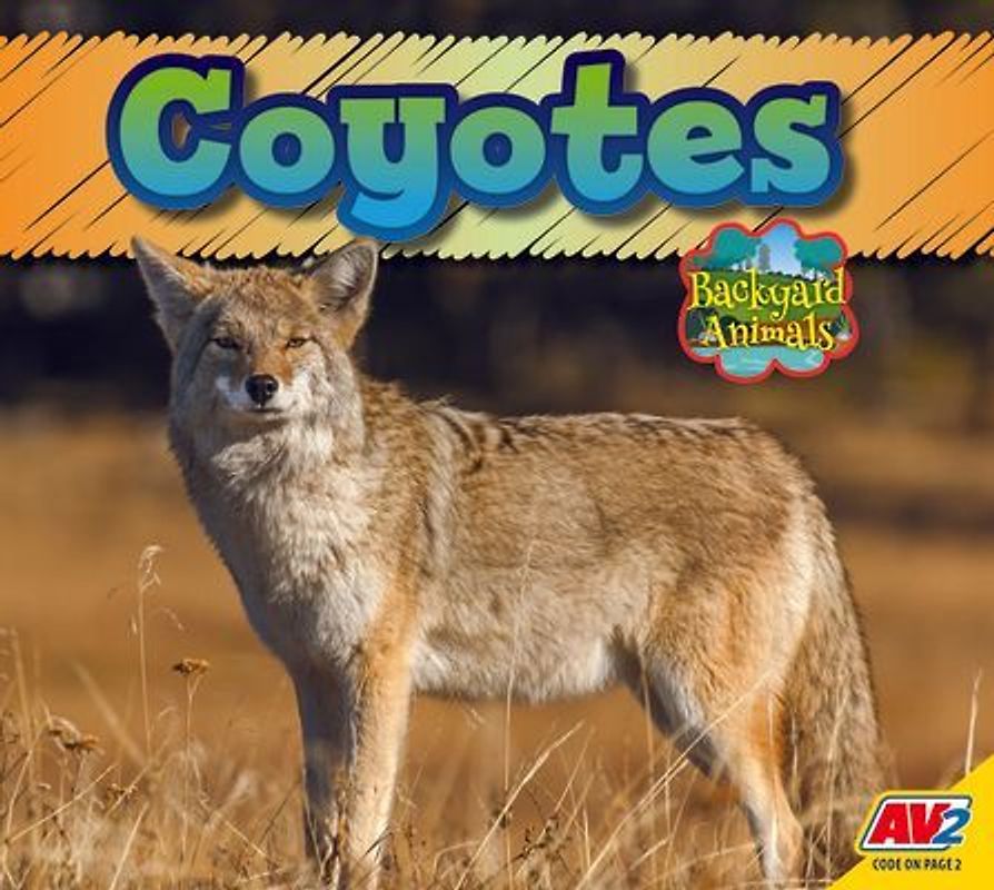Coyote