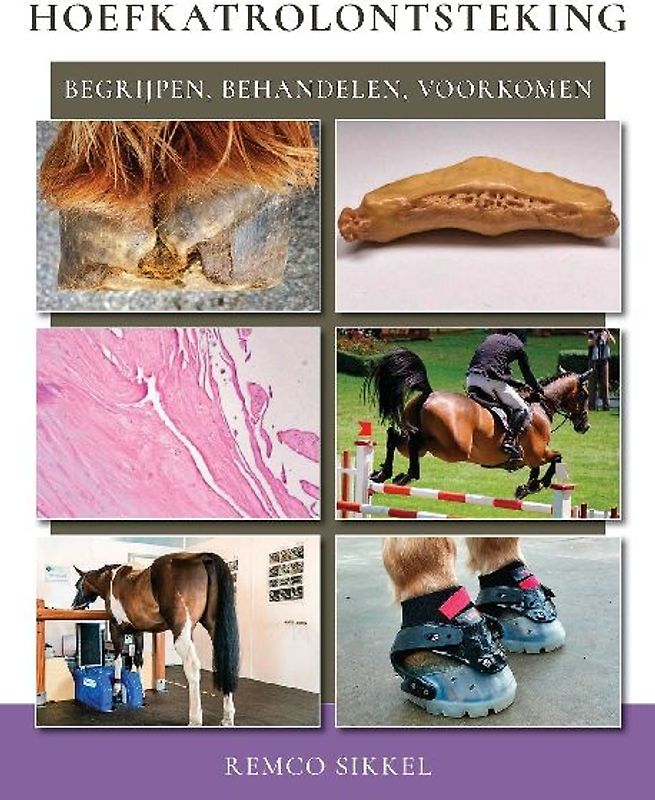 Hoefkatrolontsteking