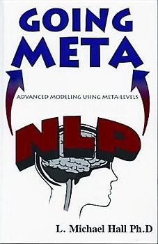 Nlp Going Meta: Advanced Modeling Using Meta-Levels