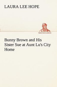 Bunny Brown and His Sister Sue at Aunt Lu's City Home
