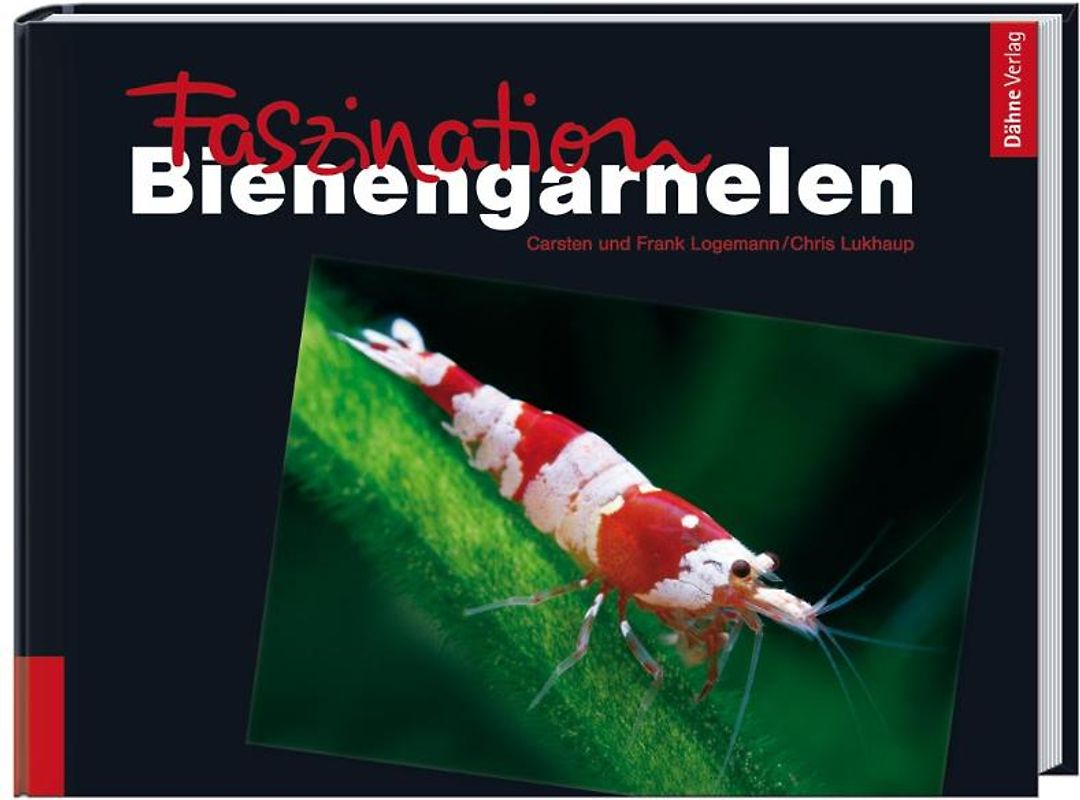 Faszination Bienengarnelen