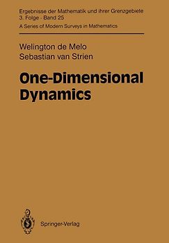 One-Dimensional Dynamics
