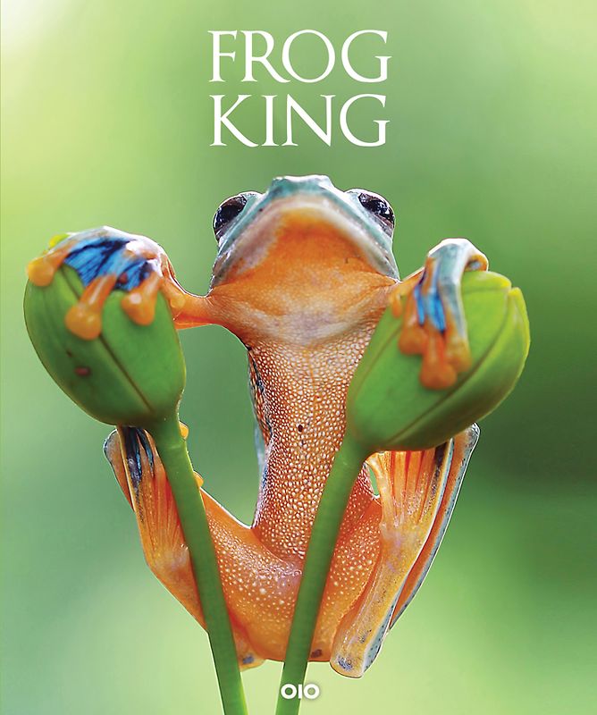 Frog King