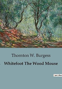Whitefoot The Wood Mouse